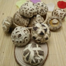dried white flower shiitake mushroom whole - product's photo