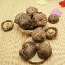 dried brown smooth shiitake mushroom whole - product's photo