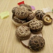 dried tea flower shiitake mushroom whole - product's photo