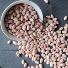  light speckled kidney bean - product's photo