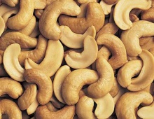 cashew nut kernels ww210,ww240,ww320  - product's photo