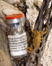 scorpion venom cancer - product's photo