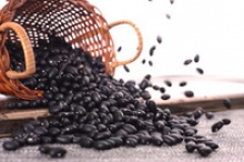 organic vegetable seeds like black kidney beans - product's photo