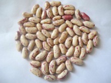 speckled kidney beans - product's photo