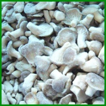 hot sales frozen oyster mushroom whole - product's photo