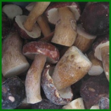 cultivated brown frozen porcini mushroom quarter slice - product's photo