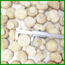 compotitive prcie cultivated frozen champignon whole - product's photo