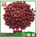 export dark red kidney beans/red kidney bean - product's photo