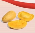 aseptic mango puree - product's photo