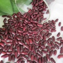british red kidney beans top supplier - product's photo