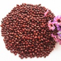high quality healthy red beans adzuki - product's photo
