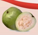 aseptic guava puree - product's photo
