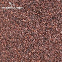 organic roasted cacao nibs - product's photo