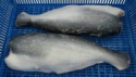 frozen pangasius whole round gutted - product's photo