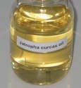 jatropha oil - product's photo