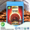  instant ganoderma iced coffee - product's photo