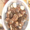  shiitake brine mushroom - product's photo