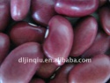 small red kidney bean 2012 crop - product's photo