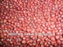 small red bean  - product's photo