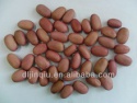 hps red kidney beans - product's photo