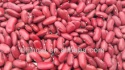 dry dark red kidney bean  - product's photo