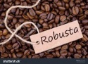 robusta cofee bean - product's photo