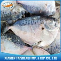 frozen moonfish fish whole - product's photo
