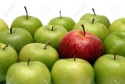 fresh apple - product's photo
