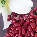 british dark red kidney bean - product's photo