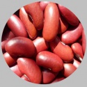 high quality crop 2017 dark red kidney bean - product's photo
