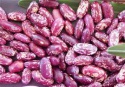 purple light red speckled kidney beans - product's photo