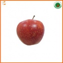 fresh sweet red chinese danxia apple fruit - product's photo