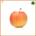 fresh red royal gala apple fruit for sale - product's photo