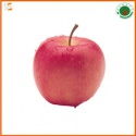 fresh organic red fuji apple fruit  - product's photo