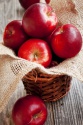 fresh apple fruits - product's photo