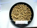 fava beans - product's photo