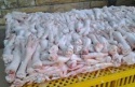 grade a halal processed frozen chicken feet - product's photo