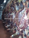 horse meat - product's photo