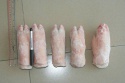 frozen pork /frozen port tail/earshind/frozen pork feet - product's photo