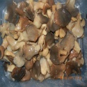 italy-rome pleurtus oyster mushroom - product's photo