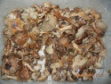 king oyster mushroom - product's photo