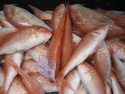 frozen red mullet (whole) - product's photo