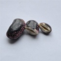 high quality top selling dry black speckled beans - product's photo