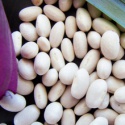 agruculture dry pink kidney beans - product's photo