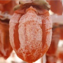 the traditional dried persimmon fruit - product's photo