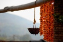 dried persimmon made in shaanxi - product's photo