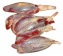frozen buffalo meat - product's photo