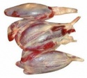 frozen hindquarter meat - product's photo