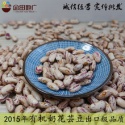 light speckled kidney bean /pinto bean - product's photo