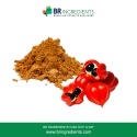 guarana seed extract powder - product's photo